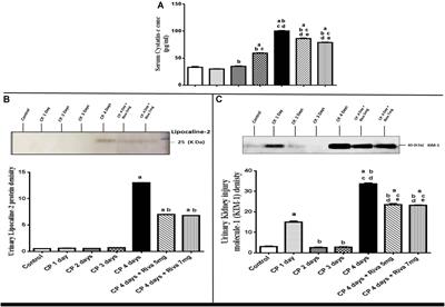 Interference With Coagulation Cascade as a Novel Approach to Counteract Cisplatin-Induced Acute Tubular Necrosis; an Experimental Study in Rats